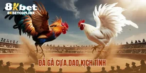 Đá Gà Cựa Dao - Thế Giới Giải Trí Đỉnh Cao Của Mọi Sư Kê