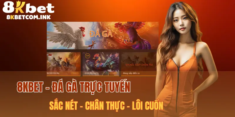 Tham gia cá cược chọi kê để tìm thấy niềm vui tài chính